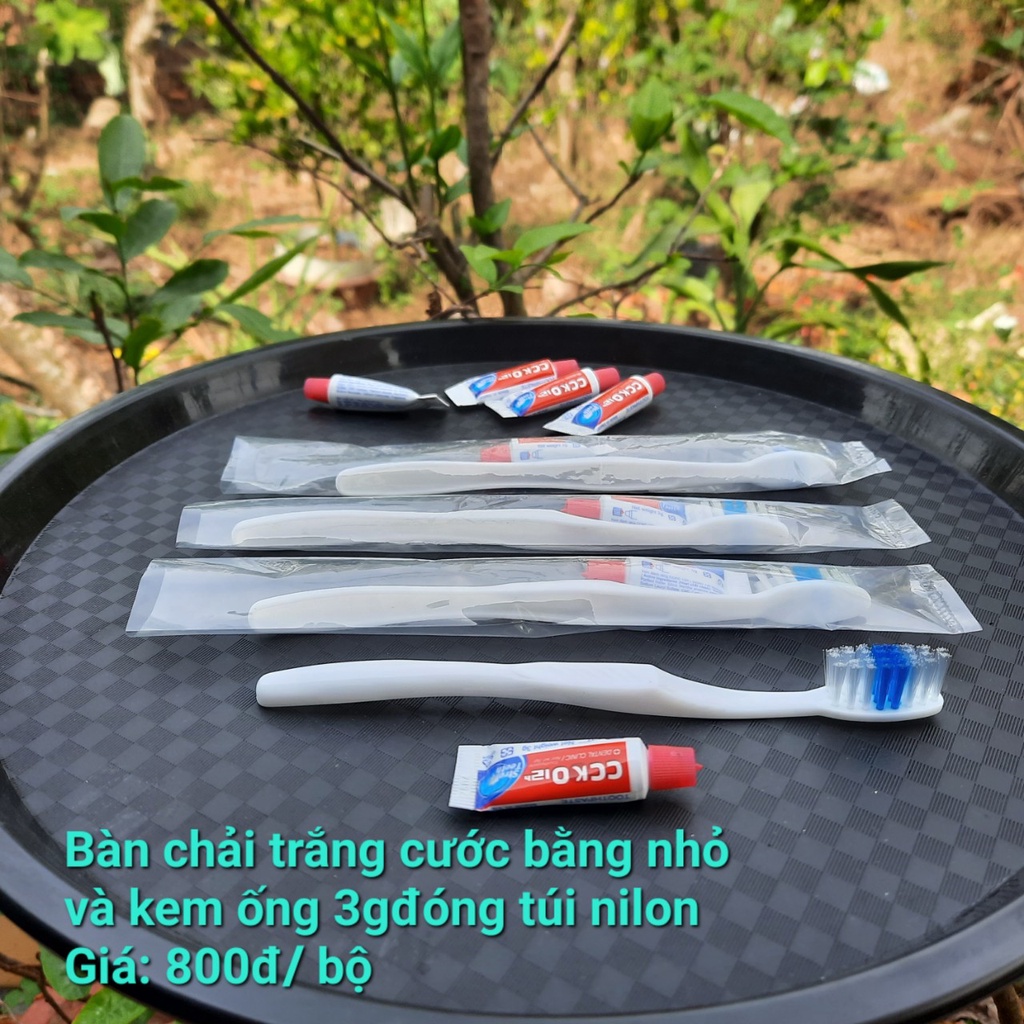Bàn chải khách sạn -  100 Bộ bàn chải và kem ống CC 3 gam dành cho nhà nghỉ, khách sạn