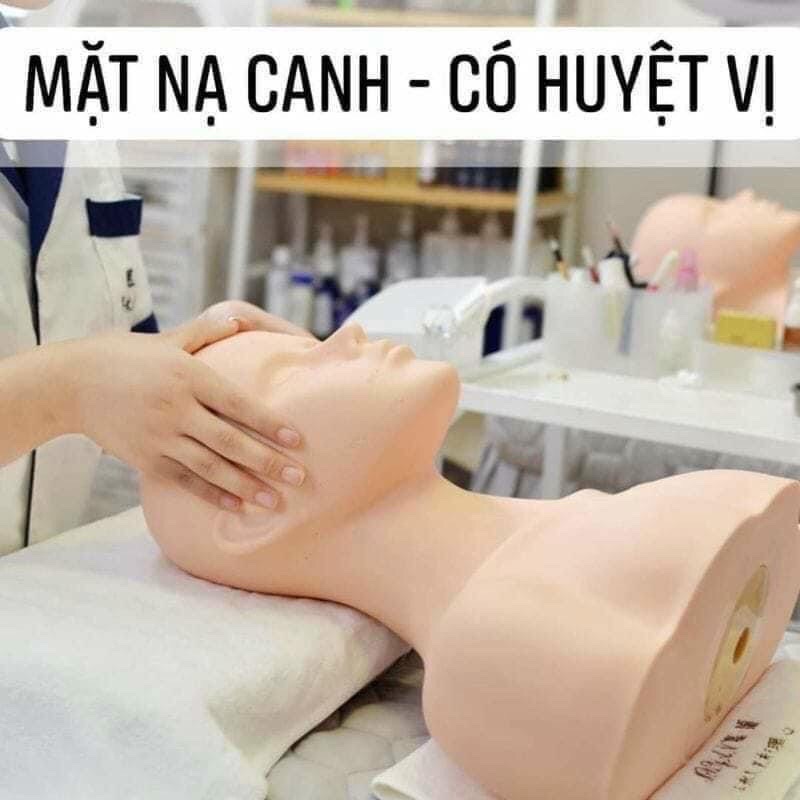 Manocanh nửa người massage cổ vai gáy,massage mặt có sẵn vị trí huyệt bấm chuẩn xác cho học viên spa