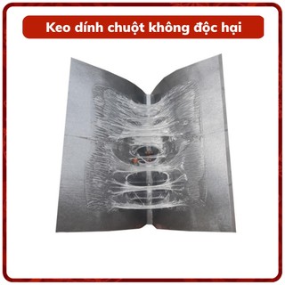 KEO BẪY CHUỘT ĐẠI PHÁT (MIẾNG)