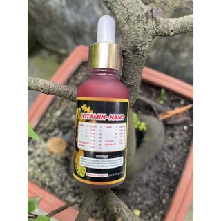 Vitamin nano