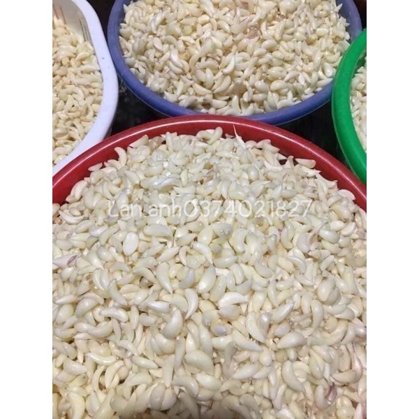 500 gram tỏi Lý Sơn lột sẵn đúng tỏi Lý Sơn 100% hàng chuẩn tại Đảo không trung gian