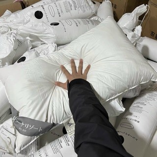 Ruột gối ngủ lông vũ - trắng - pishome