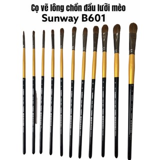 Cọ vẽ lông chồn đầu lưỡi mèo Sunway B601 cao cấp