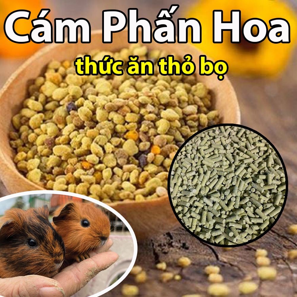 1kg Cám Phấn Hoa Mượt Lông Đẹp Da Cho Thỏ-Bọ Ú-Guinea Pig