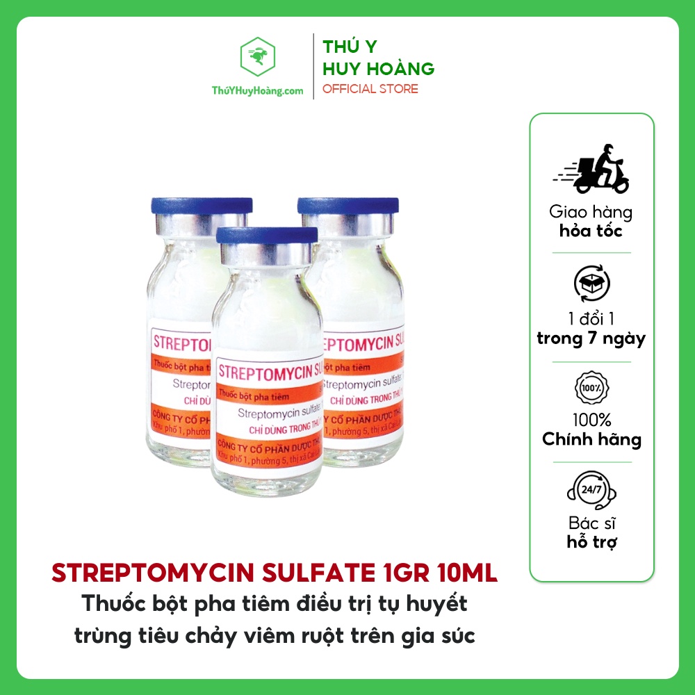 Streptomycin Sulfate 1gr 10ml dành cho gia súc
