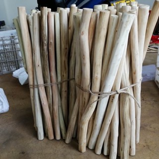 Cành cây khô gỗ tự nhiên dùng trang trí phòng, quán cafe có nhiều size