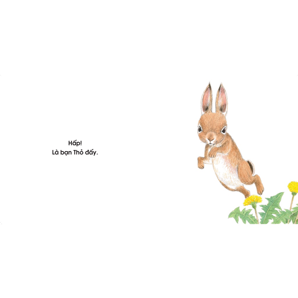 Sách Ehon cho bé 0 2 tuổi - Đố Biết Ai Đây (Tranh truyện ehon Nhật Bản cho bé) | BigBuy360 - bigbuy360.vn