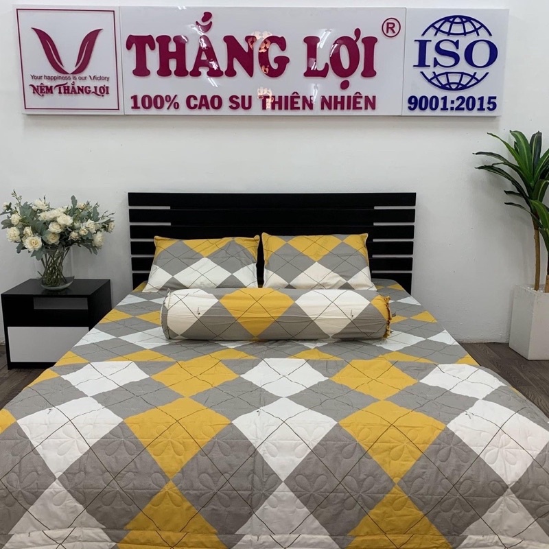 Bộ drap giường cotton Thắng Lợi 100% chính hãng hàng xưởng, bộ ga giường mềm mịn, bộ ga giường đẹp không xù lông