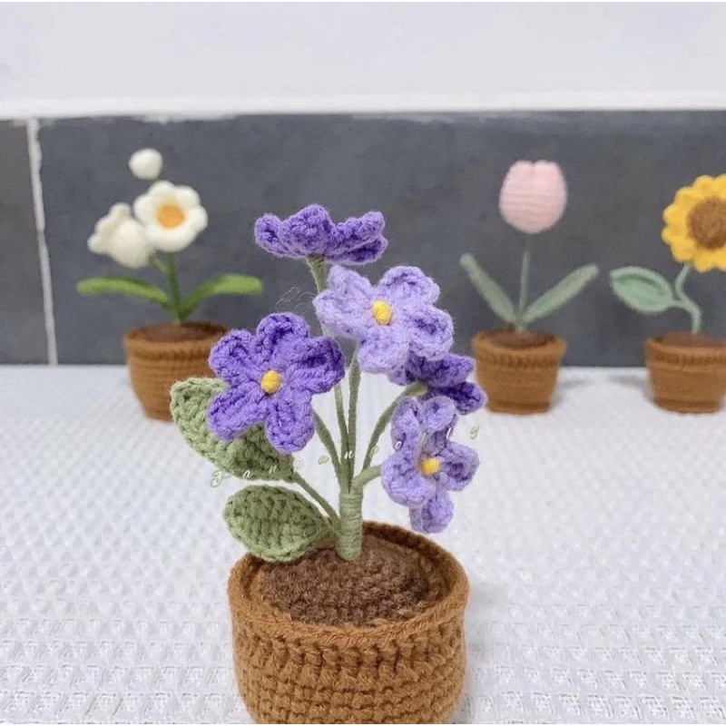 CHẬU HOA mini Handmade để bàn