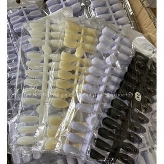 Móng mẫu vỉ bầu,học Nails 240 móng