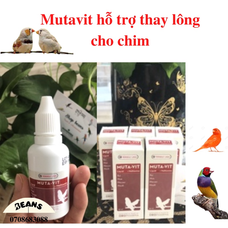 Vitamin hỗ trợ thay lông dành cho chim, vẹt Oropharma MutaVit chai nguyên 30ml