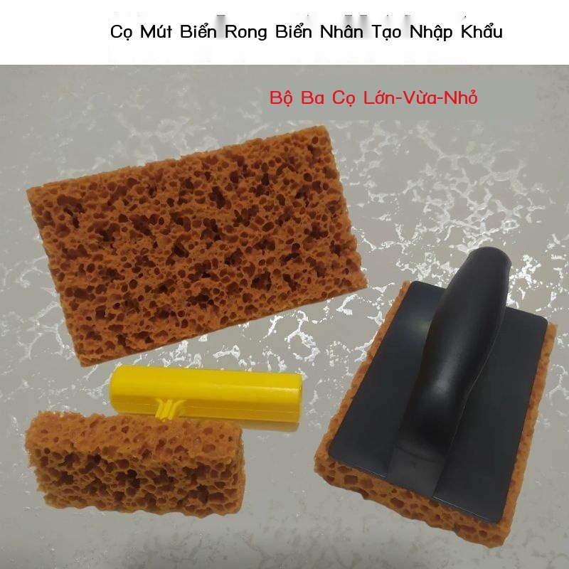 Sơn nghệ thuật giả tự nhiên rong biển cọ bông sơn nghệ thuật ba màu ngọc trai ảo giác in chấm màu chấm sơn cọ vẽ công cụ