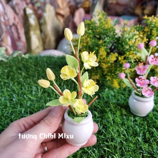 Chậu hoa mai 5 cánh bằng đất sét Nhật cao cấp