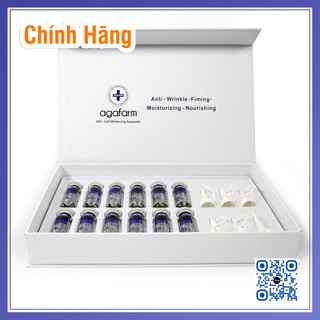 Bộ tế bào gốc