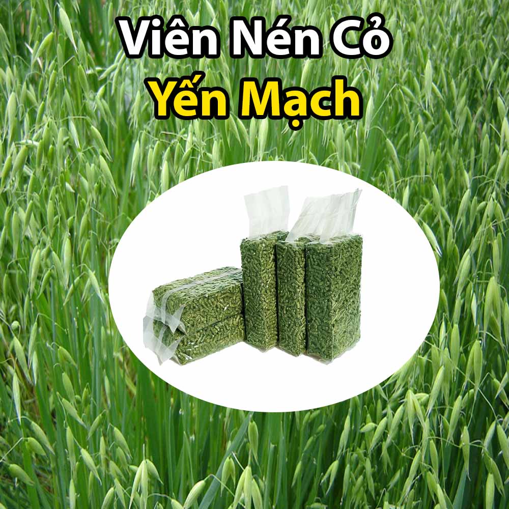 400g Viên Nén Cỏ Yến Mạch Bổ Dưỡng Cho Thỏ-Bọ Ú-Guinea Pig
