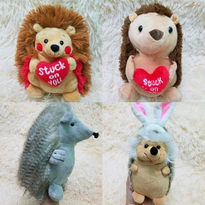 Gấu bông con nhím