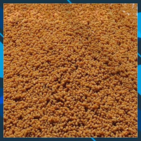 Cám Chim Khuyên, Cám Số 12 Dành Cho Chim Mộc, chim Bổi Hàng Nhập Khẩu Trung Quốc, Đạt Phi - Gói 500 gram