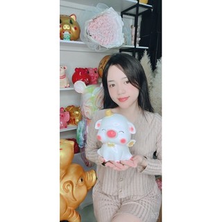 Heo đất/ Lợn đất bỏ ống Cánh tiên khủng lồ(Ảnh thật)