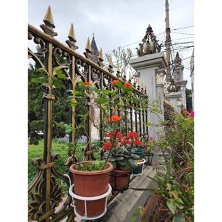 Giỏ treo ban công để hoa, cây cảnh