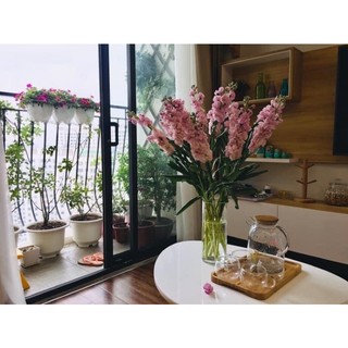 Lọ hoa thuỷ tinh trụ tròn cao cấp nhiều kích thước, lọ hoa trang trí, trụ thuỷ tinh