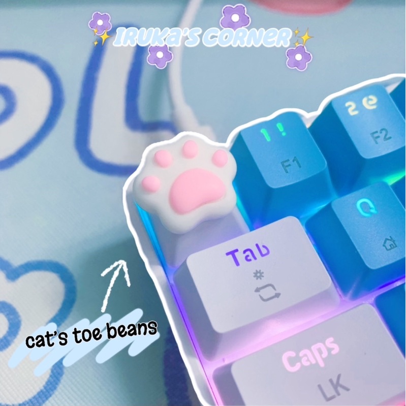 Nút bàn phím cơ ABS doubleshot dấu chân mèo decor xinh xắn🐾🐾