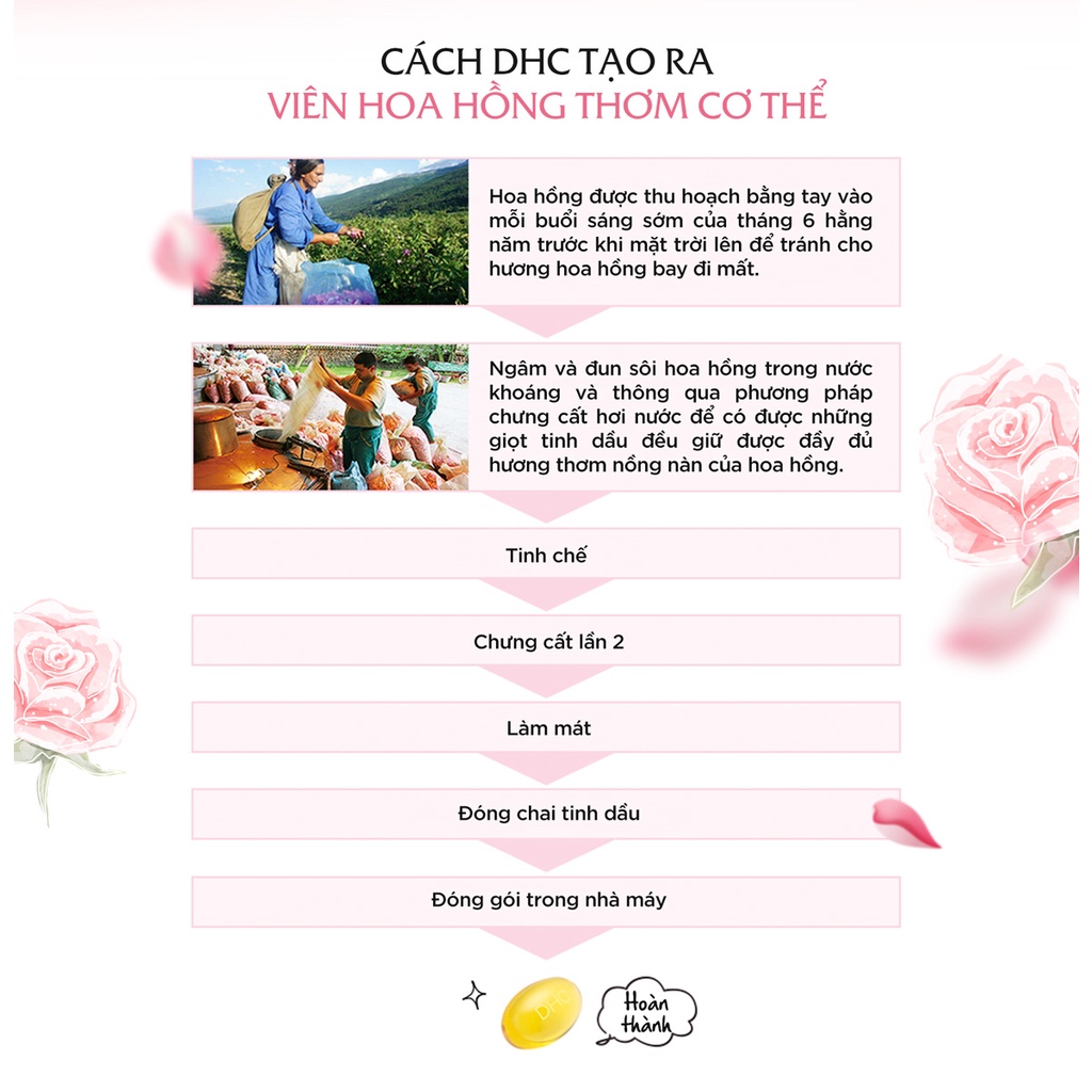 Viên Uống DHC Hoa Hồng Làm Thơm Cơ Thể 30 Ngày 60 Viên Bulgarian Rose Capsule Nhật Bản