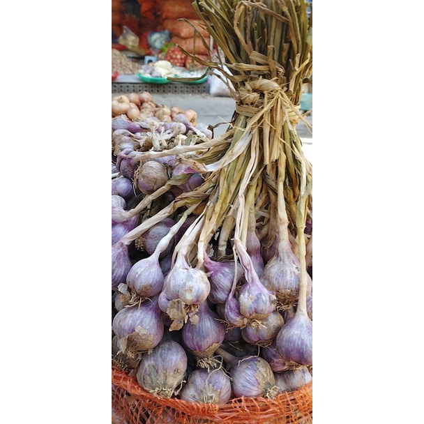 Tỏi ta khô kinh môn HẢI DƯƠNG