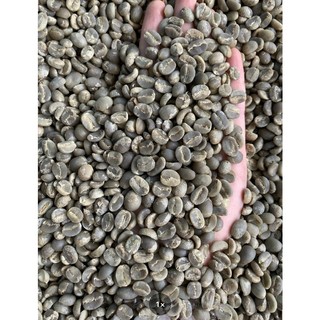 Cà phê Hạt Arabica rang mộc 100% nguyên chất (gói 1000g)
