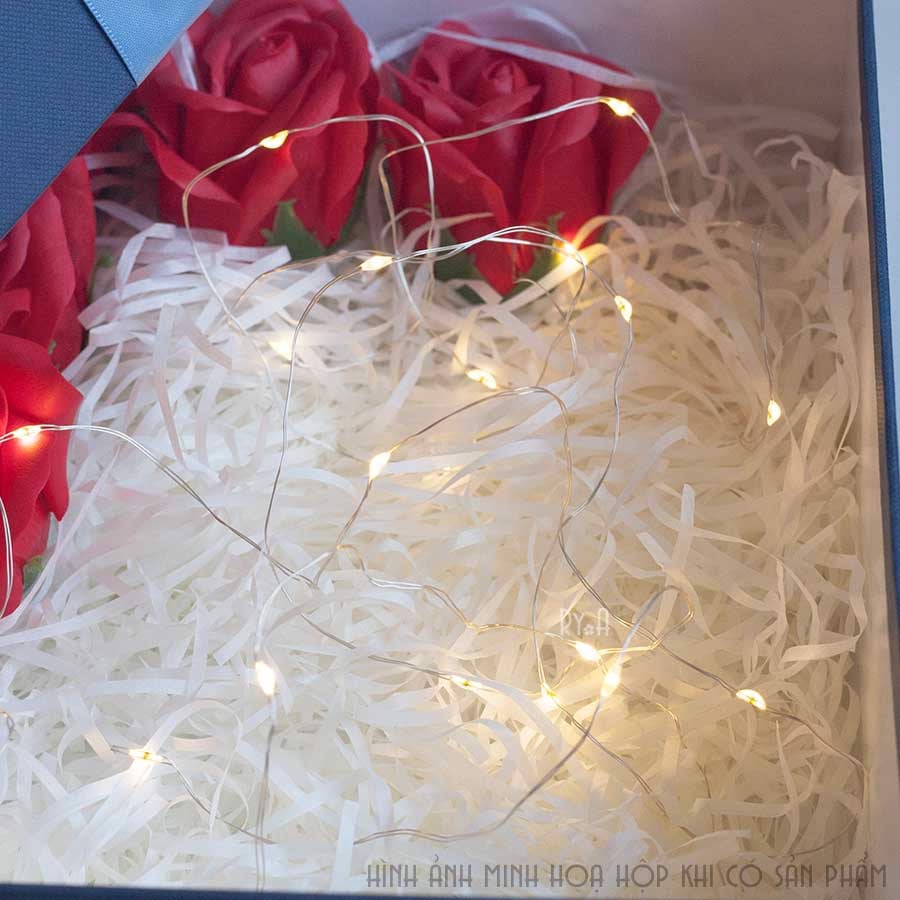 Dây đèn led trang trí đom đóm có sẵn pin dài 1m/2m/3m/5m