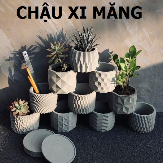 Chậu cây để bàn bằng Xi măng Cori SeeArt / cement pots 11cm cao 8.5 cm, trồng sen đá, xương rồng cây cảnh bonsai