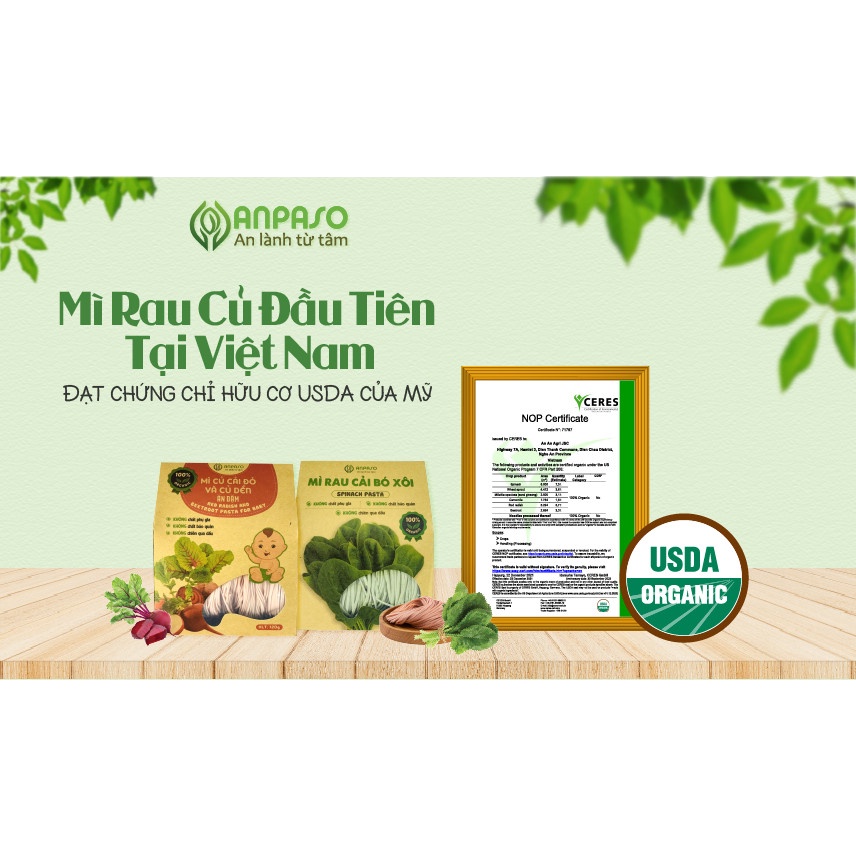 Mì mầm lúa mạch ăn dặm Anpaso - Xanhsam Organic