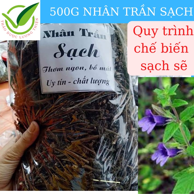 Nhân trần khô đạt chuẩn sạch sẽ 1kg quy trình chế biến an toàn