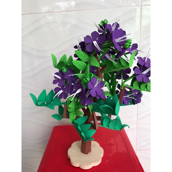 Cây Phượng vĩ, cây Bằng Lăng mầm non cao 45cm