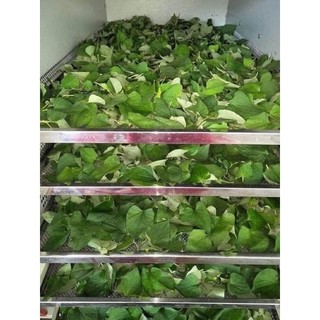 BỘT DIẾP CÁ SẤY LẠNH 500gr ☘️☘️☘️