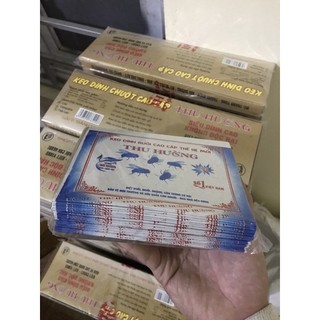 30 miếng keo dính ruồi nhặng