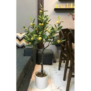 Cây giả cây chanh giả trang trí nhà cửa bền đẹp