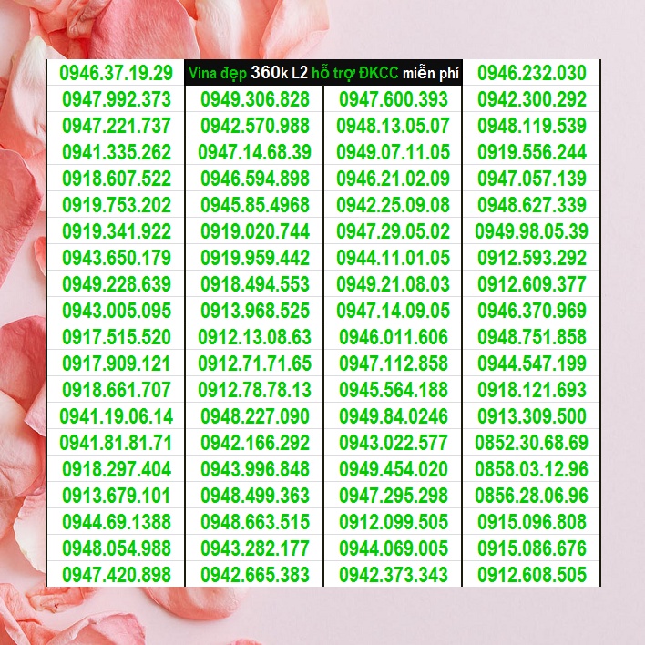 Sim Vina số đẹp giá rẻ 360k Lô 2 Miễn phí ĐK chính chủ được nhiều gói Ưu đãi phút gọi + Data + tin nhắn khủng của Vina