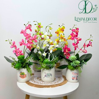 Chậu cây giả - Chậu lan hồ điệp