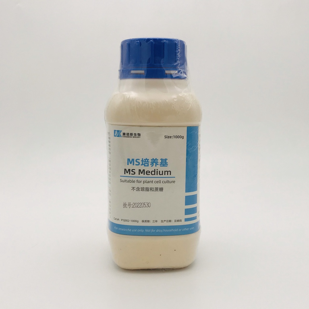 Môi trường MS Trung Quốc