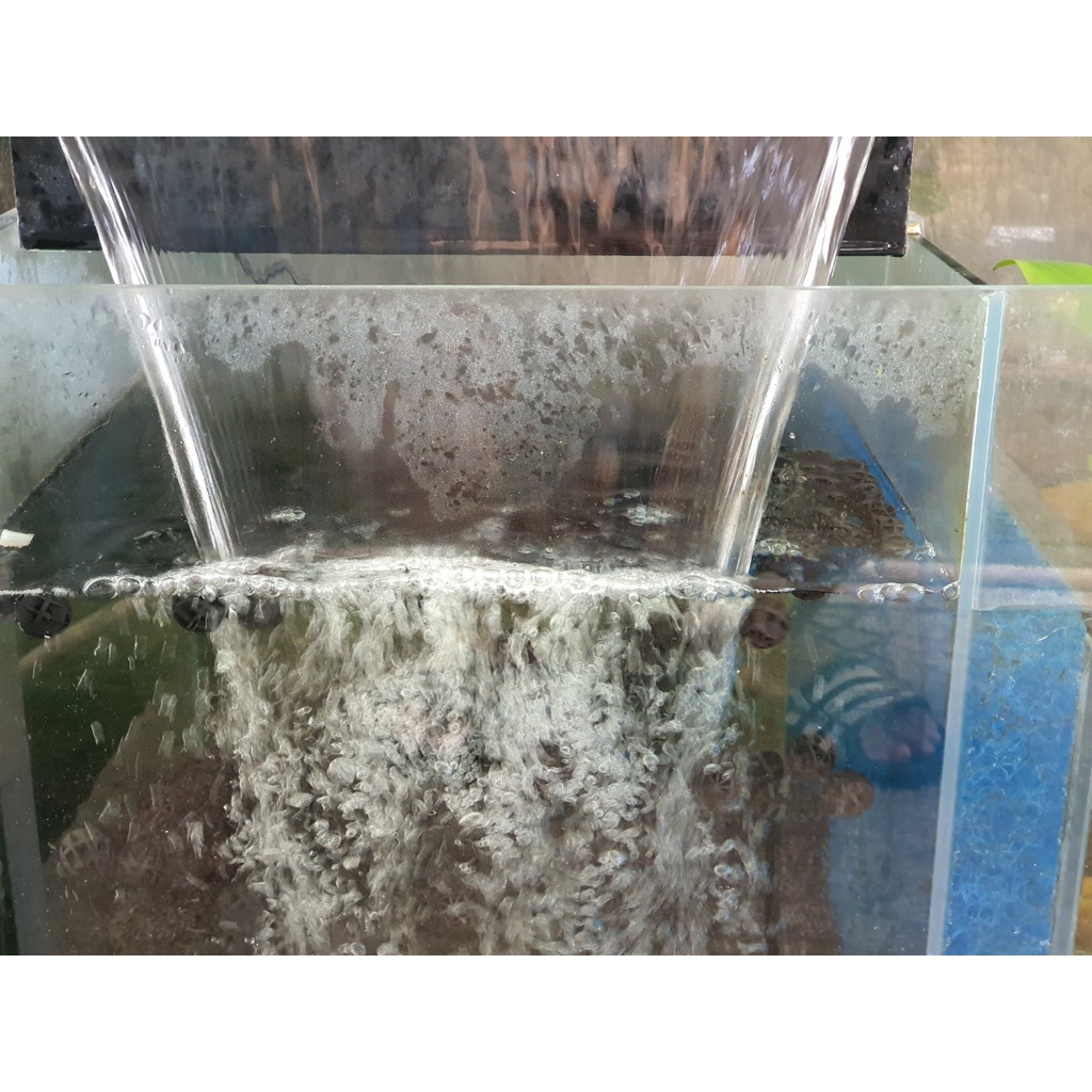 Bóng lọc vi sinh Bio Ball đường kính 1.6cm chất lượng cao