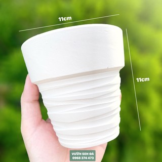 Chậu đất nung trồng sen đá