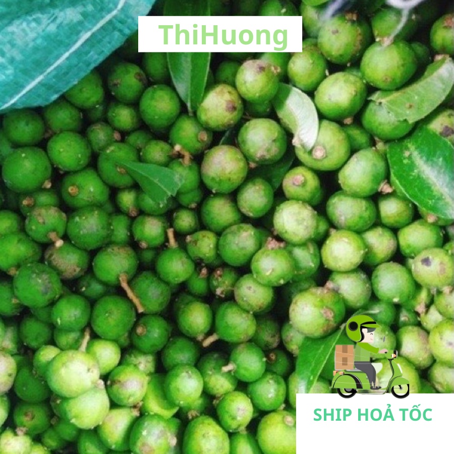 Sấu xanh, Sấu bánh tẻ đã cạo sạch vỏ cấp đông - Ship hoả tốc Hà Nội