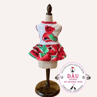 ĐẦM THUN DƯA HẤU