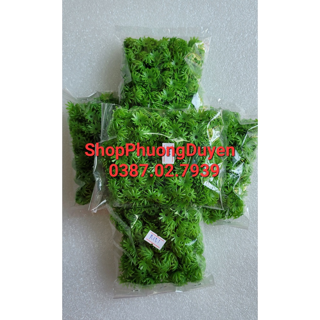 50 gram đài nhựa