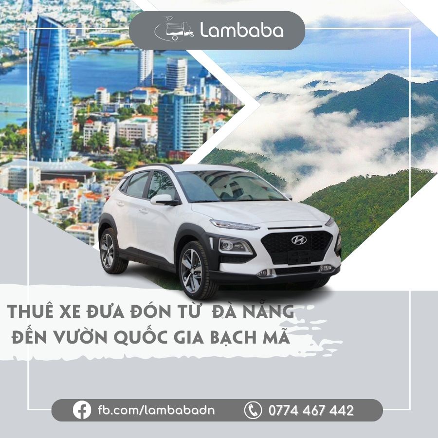 E-voucher thuê xe du lịch từ Trung tâm/Ven biển Đà Nẵng đến Vườn Quốc gia Bạch mã/Bạch Mã Villa