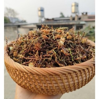 Trà Hồng Sâm Sơn Mật