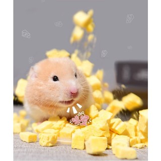 [YEE] Phomai viên sấy lạnh cho hamster