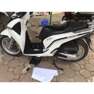 tem amg chỉ sh