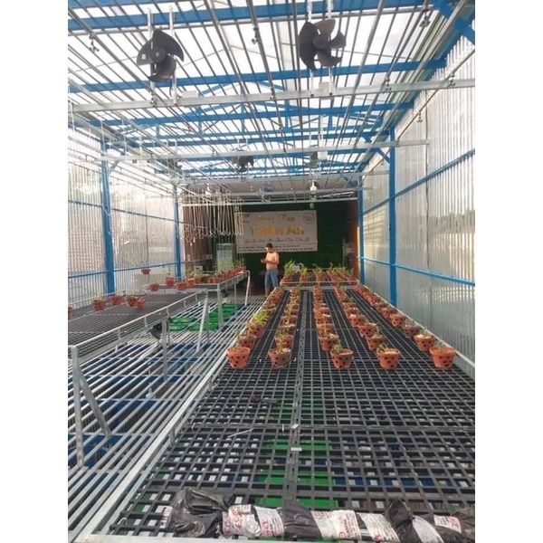 Sàn nhựa trồng Lan kích thước 95cmx95cm