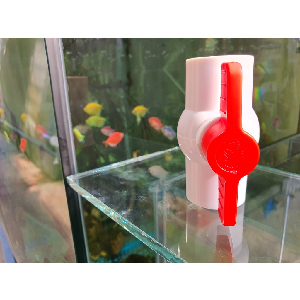 Van khóa ống nước PVC phi 20/25/32 chuyên dụng cho hồ cá